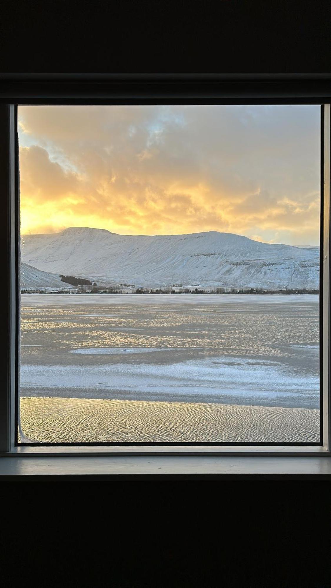 Cosy Lakeview Cabin 45 Minutes From Reykjavik موسفلسبير المظهر الخارجي الصورة