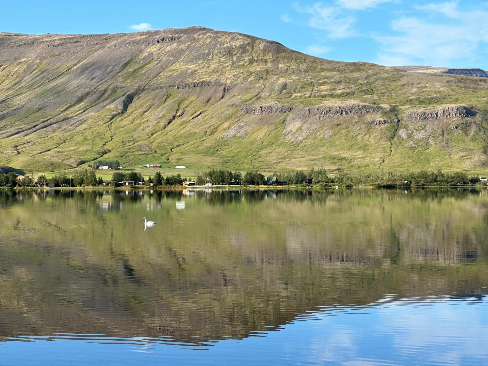 Cosy Lakeview Cabin 45 Minutes From Reykjavik موسفلسبير المظهر الخارجي الصورة
